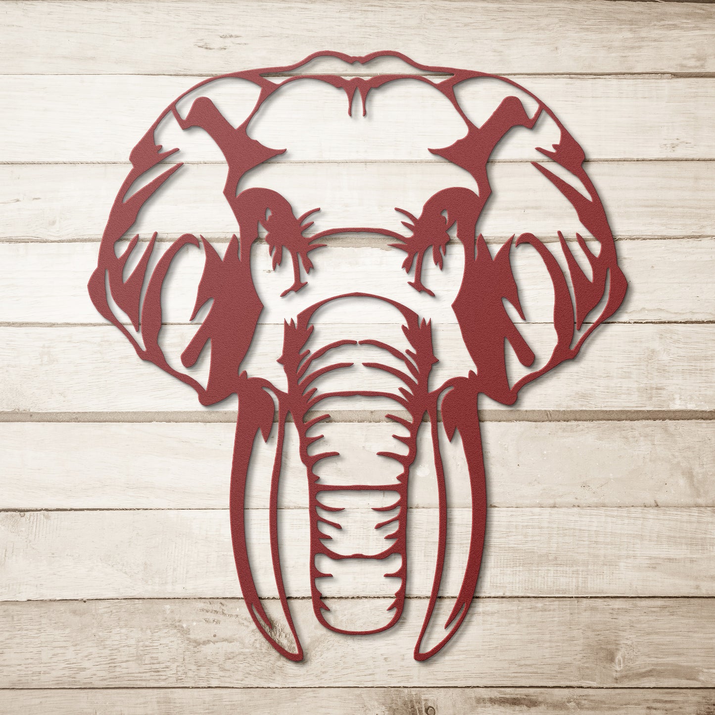 Asian Elephant
