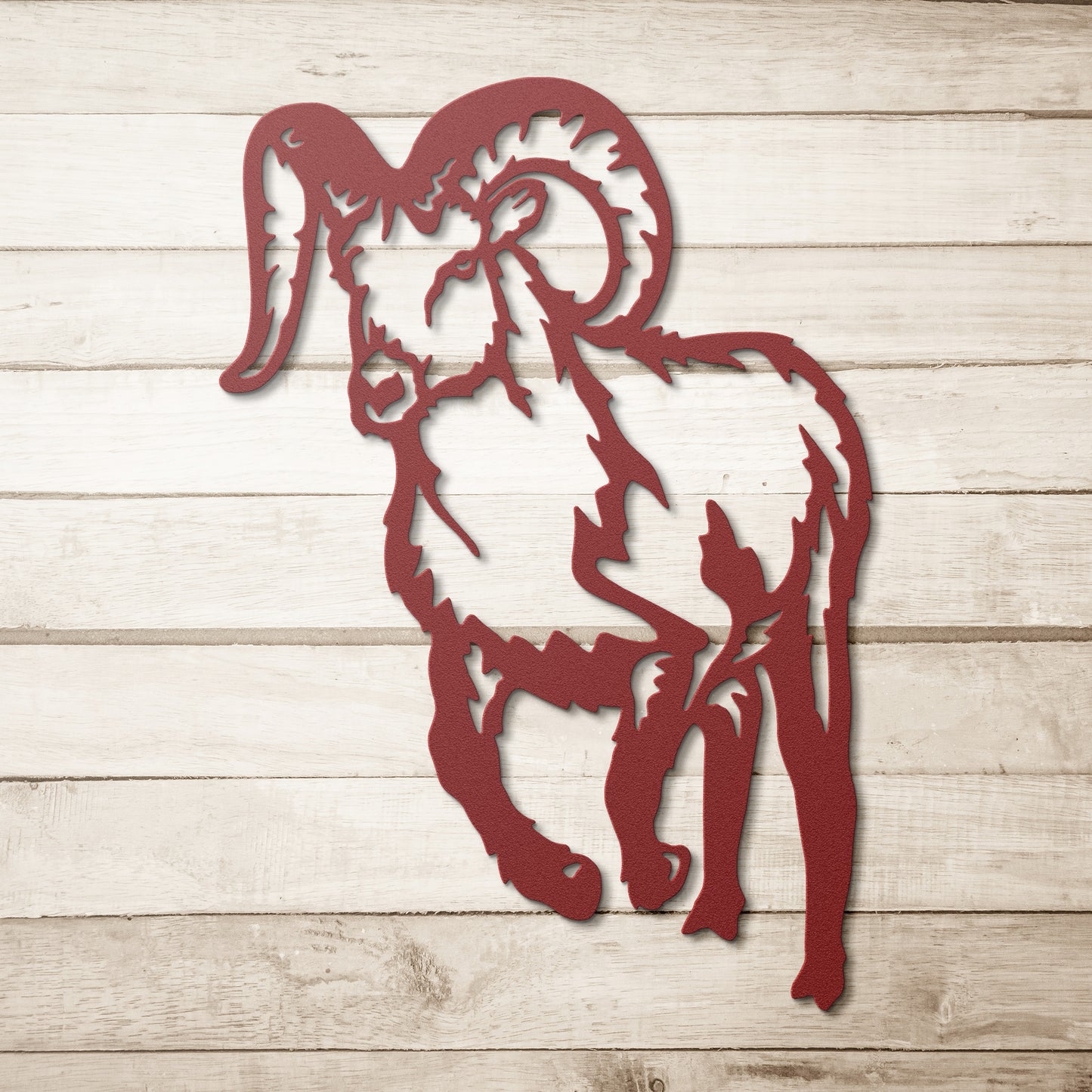 Mountain Goat