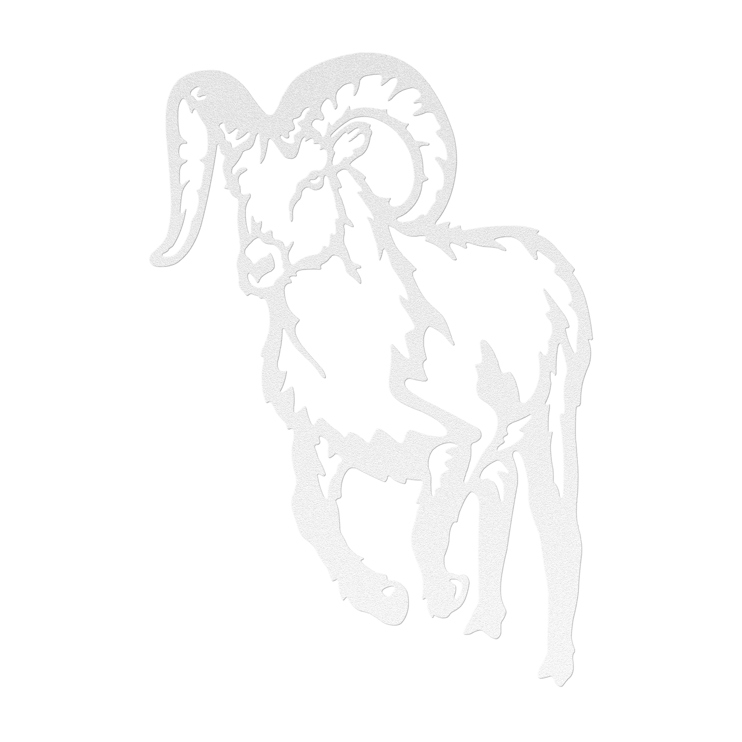 Mountain Goat