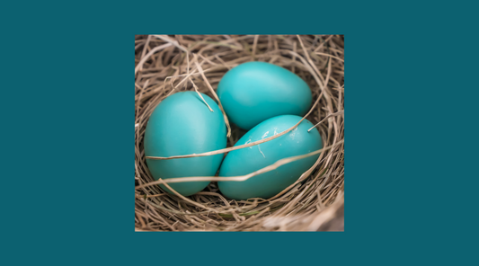 Blue Robin Eggs