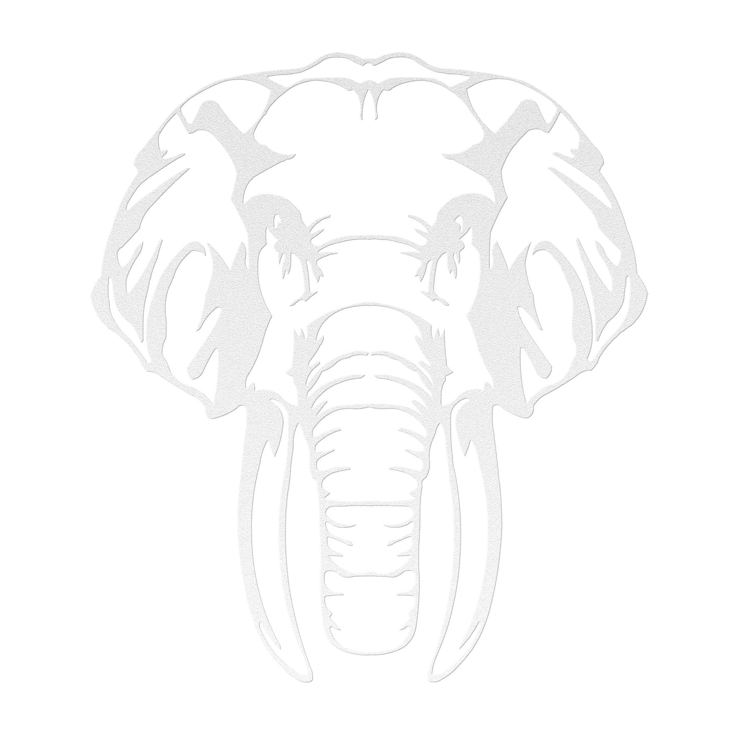 Asian Elephant