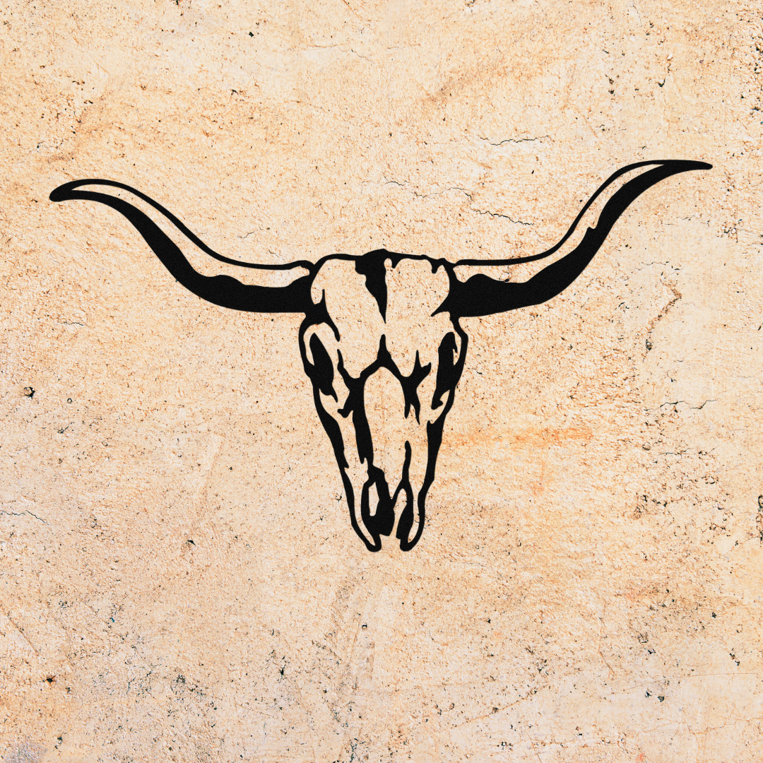 Longhorn Skull