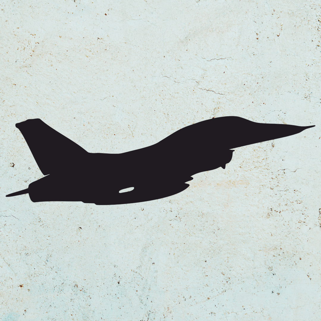 F-14 Airplane