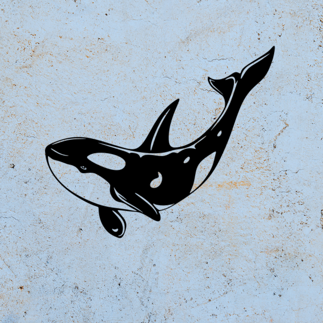 Orca