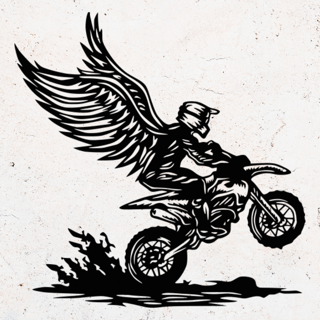 Motorcycle Wings