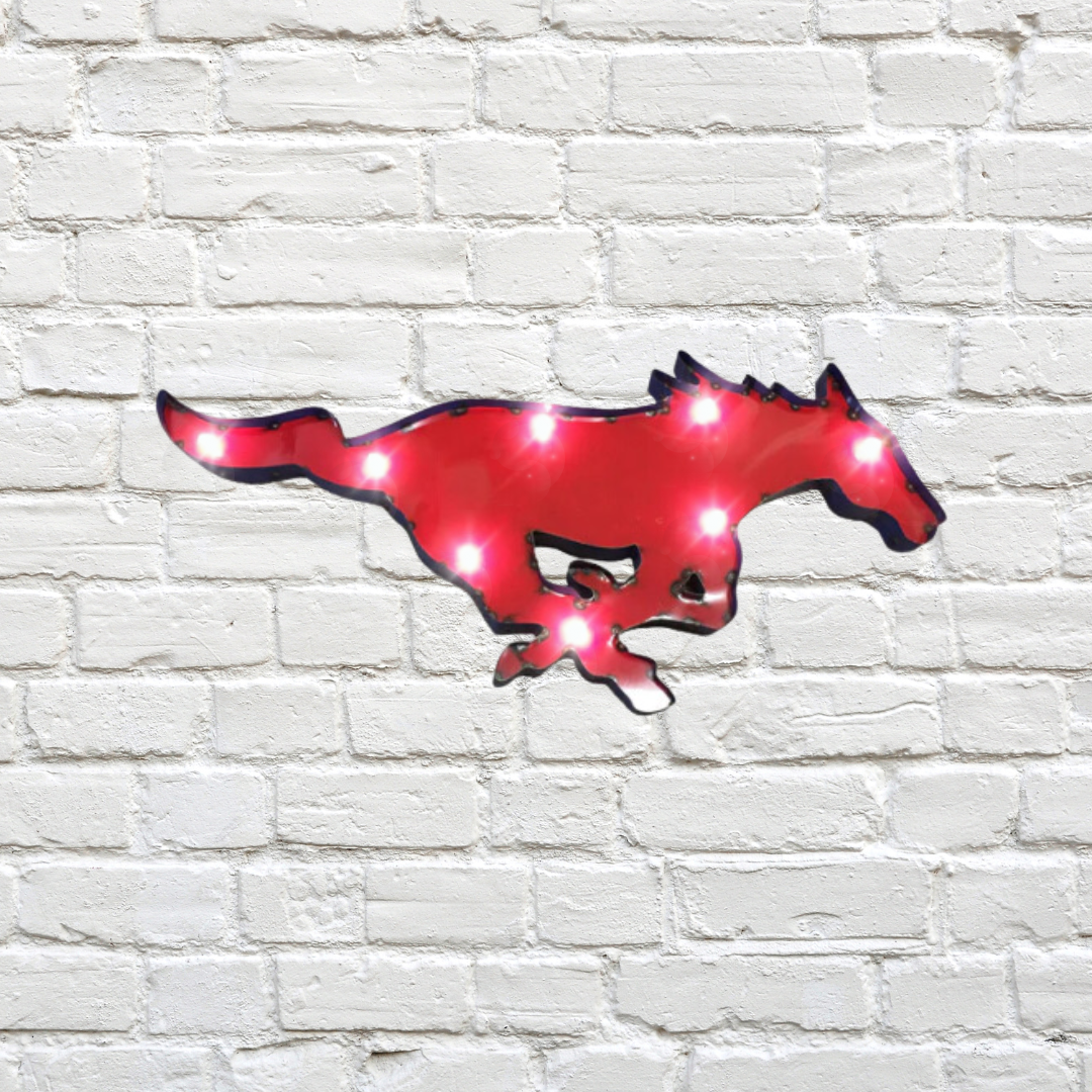 Southern Methodist University