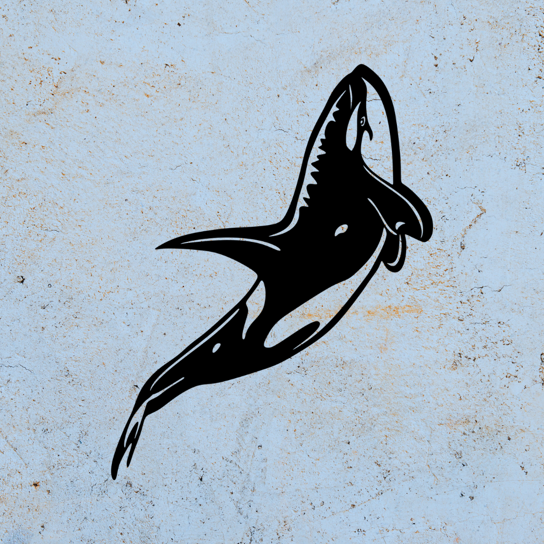 Orca Up