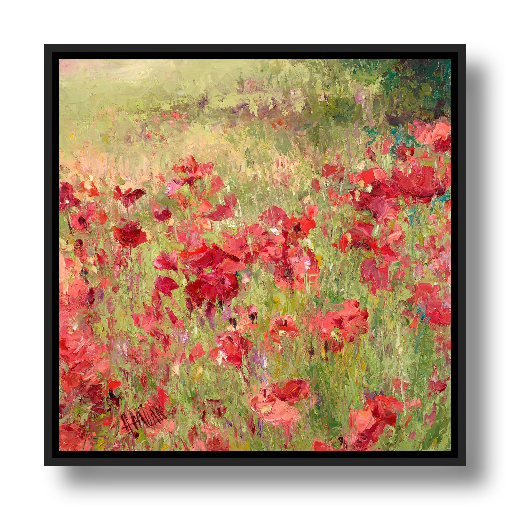 Poppies