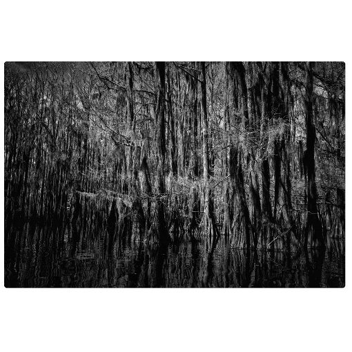 Caddo Lake