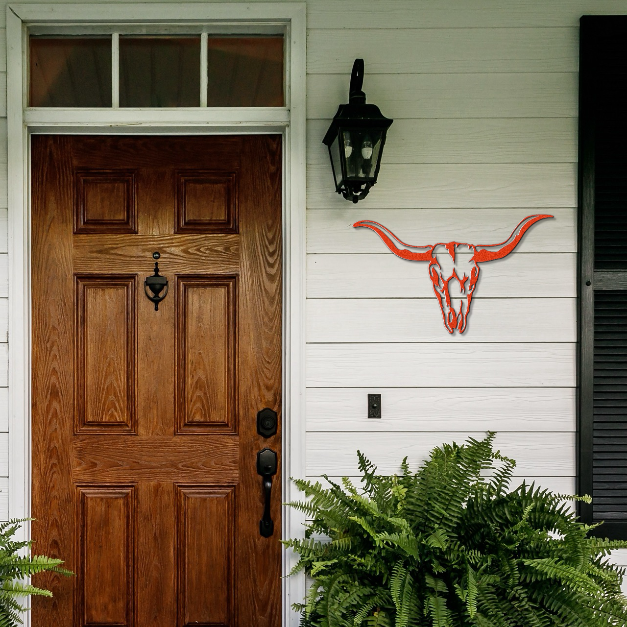 Longhorn Skull