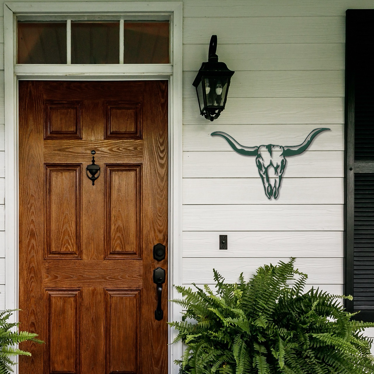 Longhorn Skull