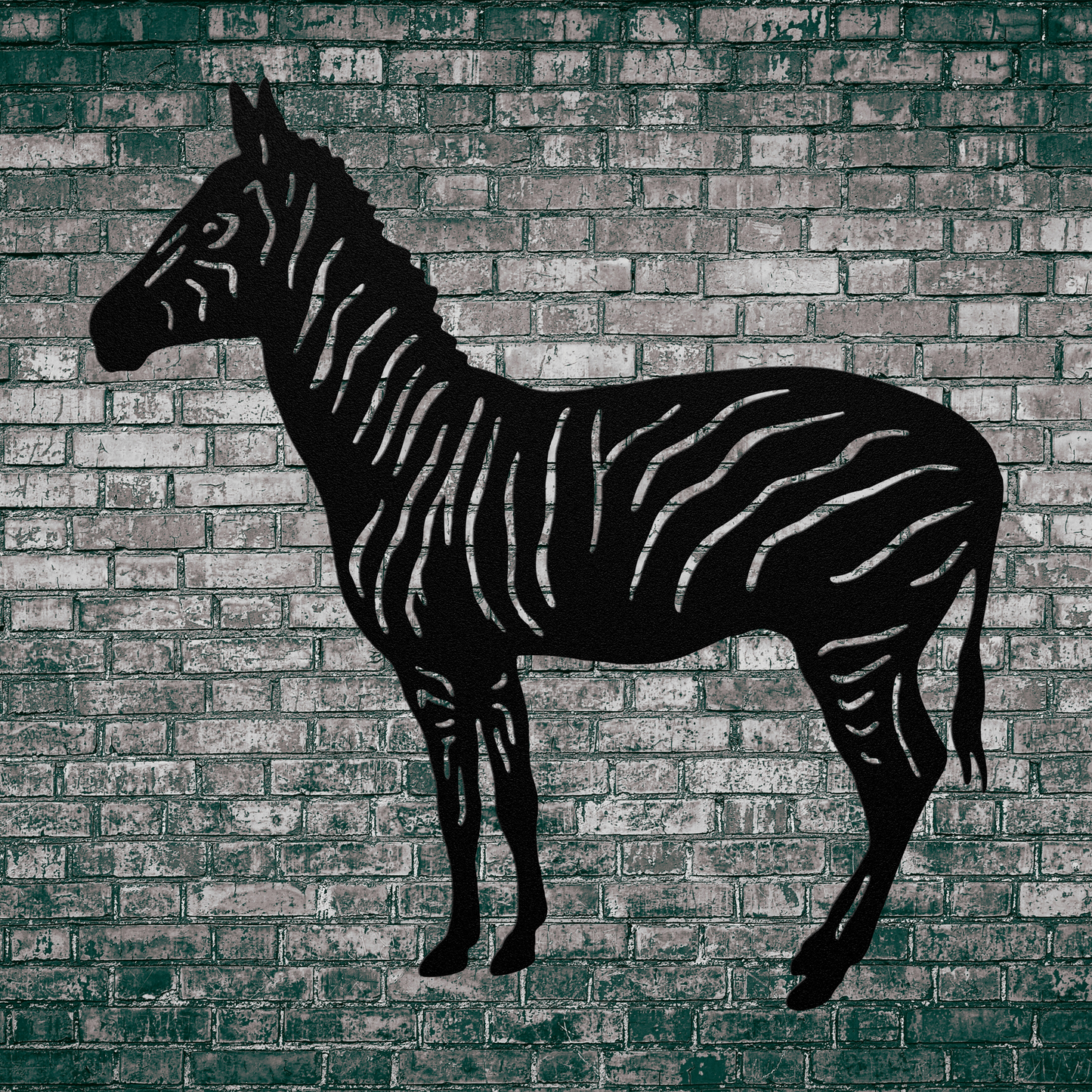 Ziggy Zebra